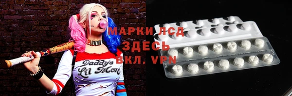 ГАЛЛЮЦИНОГЕННЫЕ ГРИБЫ Верея