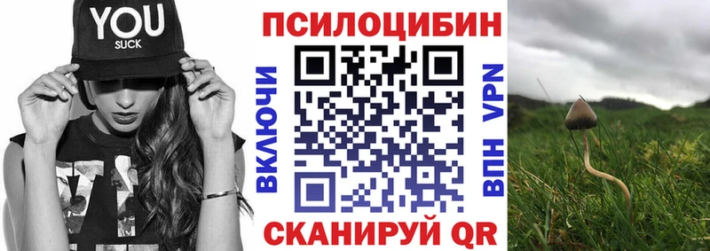 Псилоцибиновые грибы мухоморы  магазин продажи   Нытва 