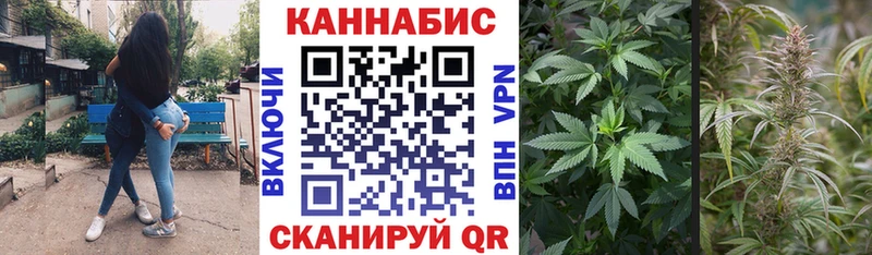 Каннабис сатива  Нытва 